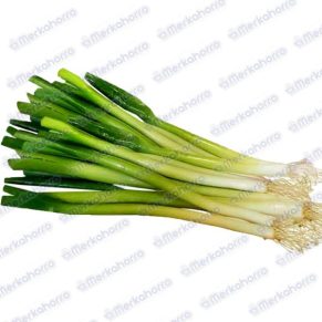 Cebolla de Rama Pelada Kilo
