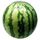 Sandia Kilo - Kg