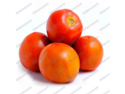Tomate de Aliño Extra Kilo