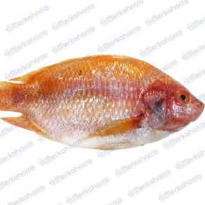 Tilapia Roja Kilo