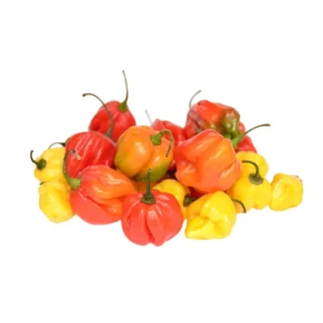 Aji Dulce Kilo