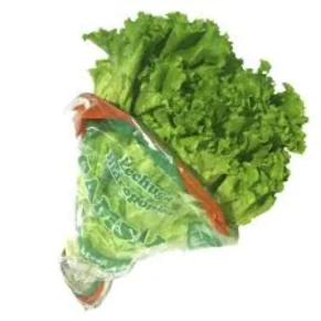 Lechuga Verde Crespa Bolsa 250 g