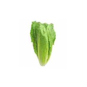 Lechuga Romana Domo 150 g
