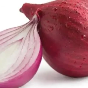 CEBOLLA HUEVO ROJA OFERTA